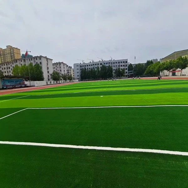 soccer sport field